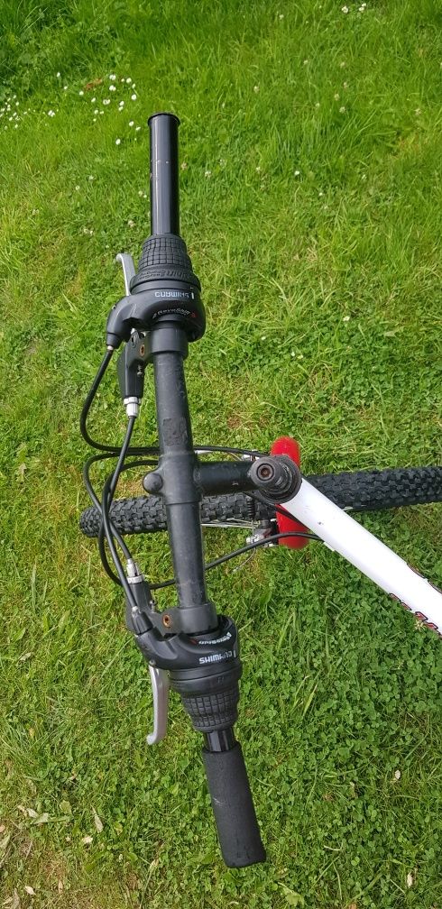 Rower  Author 24" cale