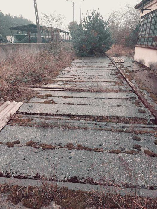 Sprzedam działkę budowlano-inwestycyjna w Brzykowie niedakeko Widawy