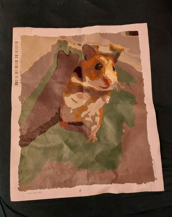 Labirynt dla chomika