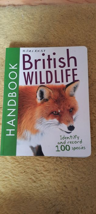 British wildlife handbook Miles Kelly po angielsku