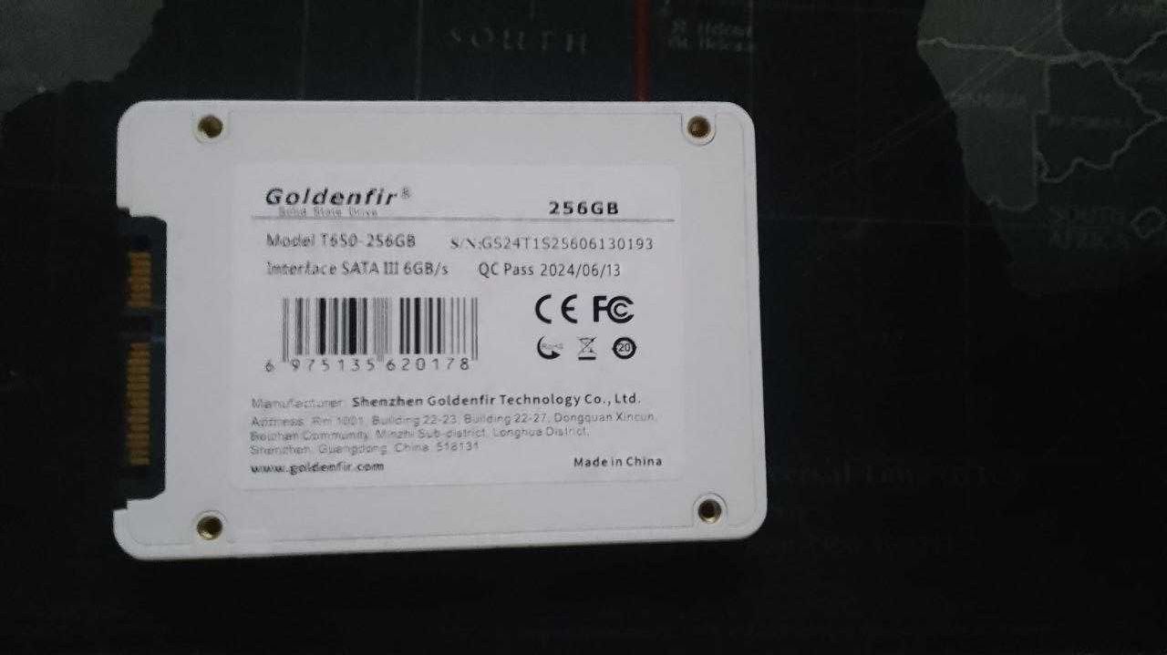 SSD Goldenfir 256 GB (Solid State Drive)
