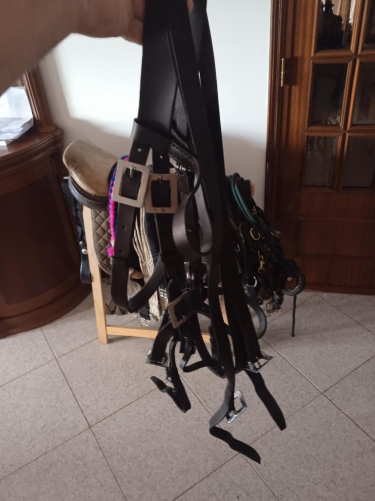 Vendo este material equestre