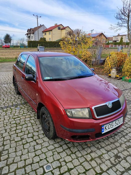 Skoda Fabia 1.4 benzyna + LPG | 2005 | 178 213 km
