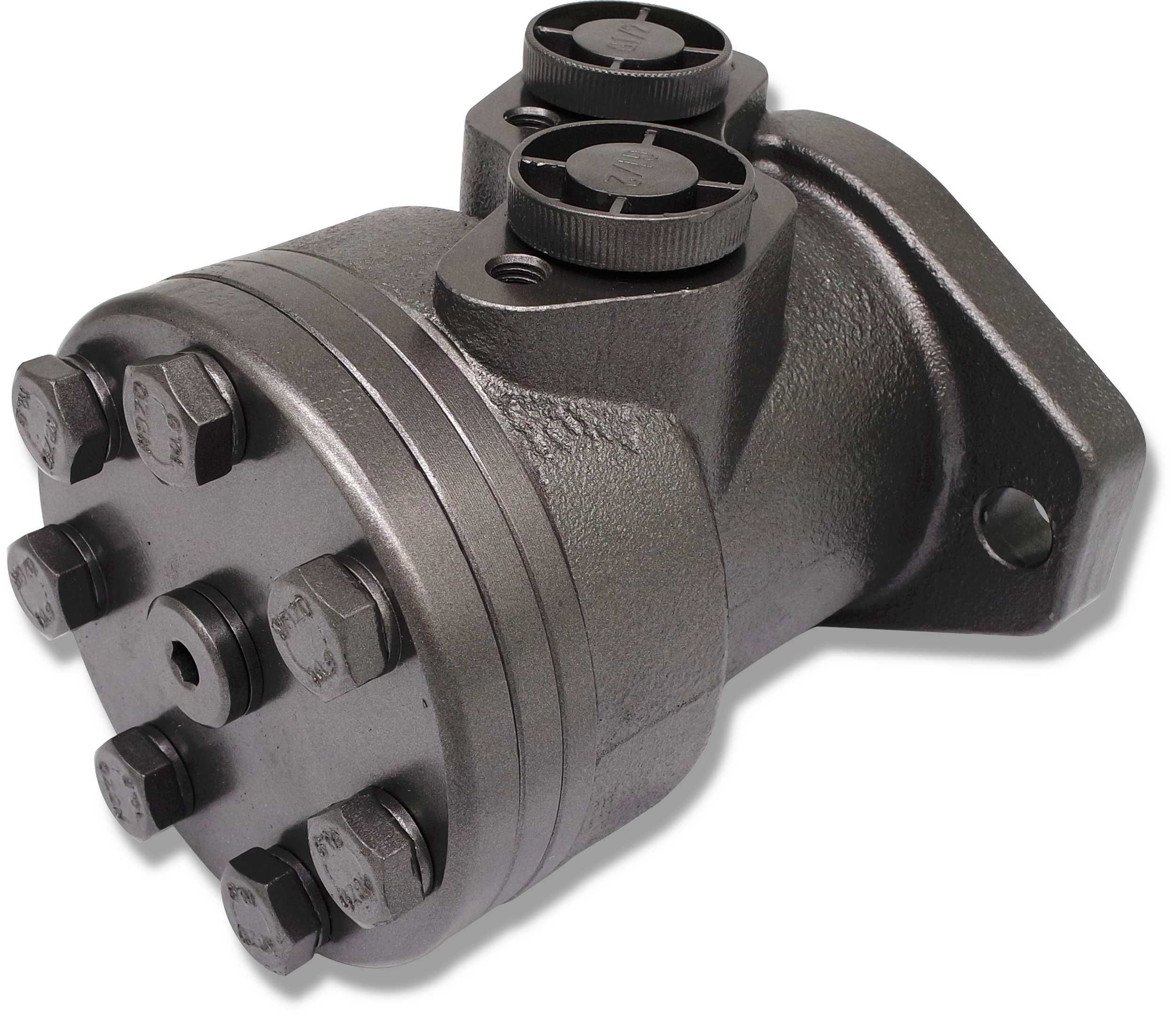 Silnik Hydrauliczny BMR SMR OMP 50 cm3 ALSG2 GR2 [3943]