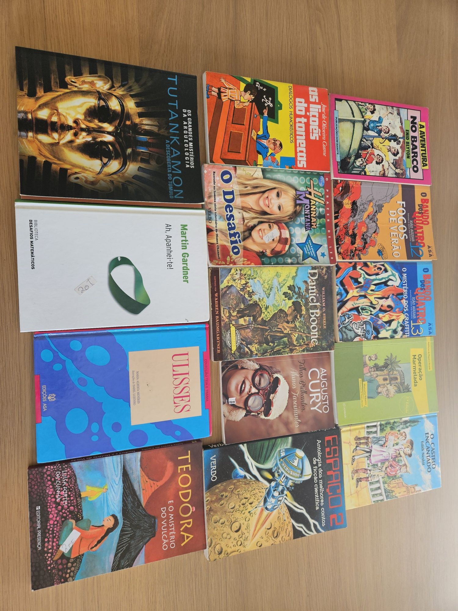 Livros ( diversos)