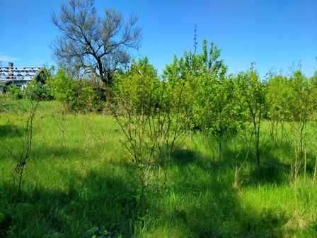 Будинок з ділянкою в Лісі