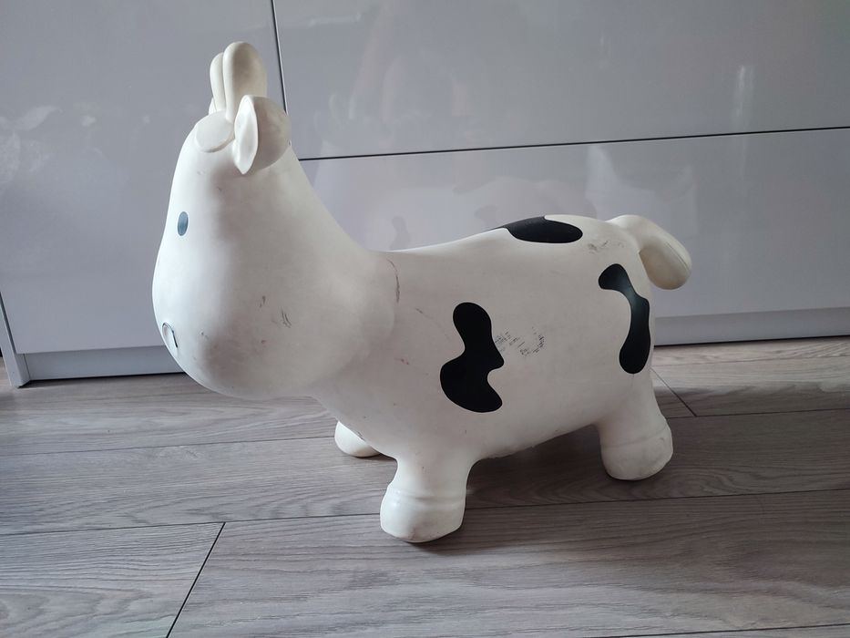 Skoczek krówka tootiny