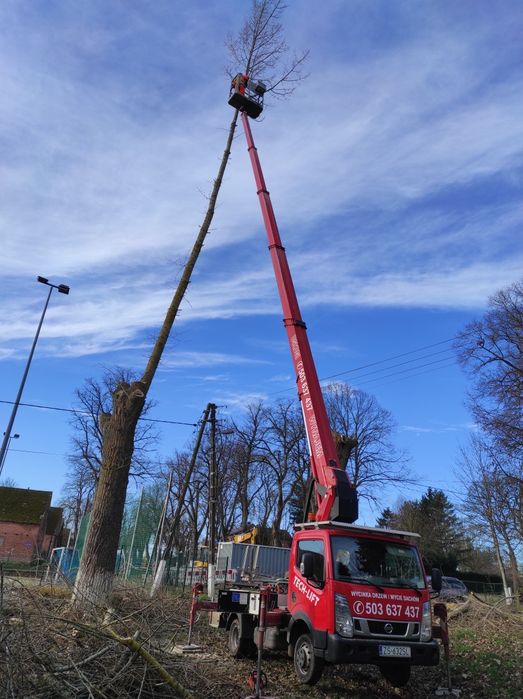 Wycinka drzew  Podnośnik koszowy Zwyżka Mycie dachów