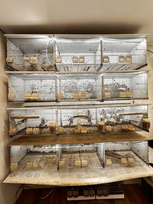 Viveiros de criacao / voadeiras