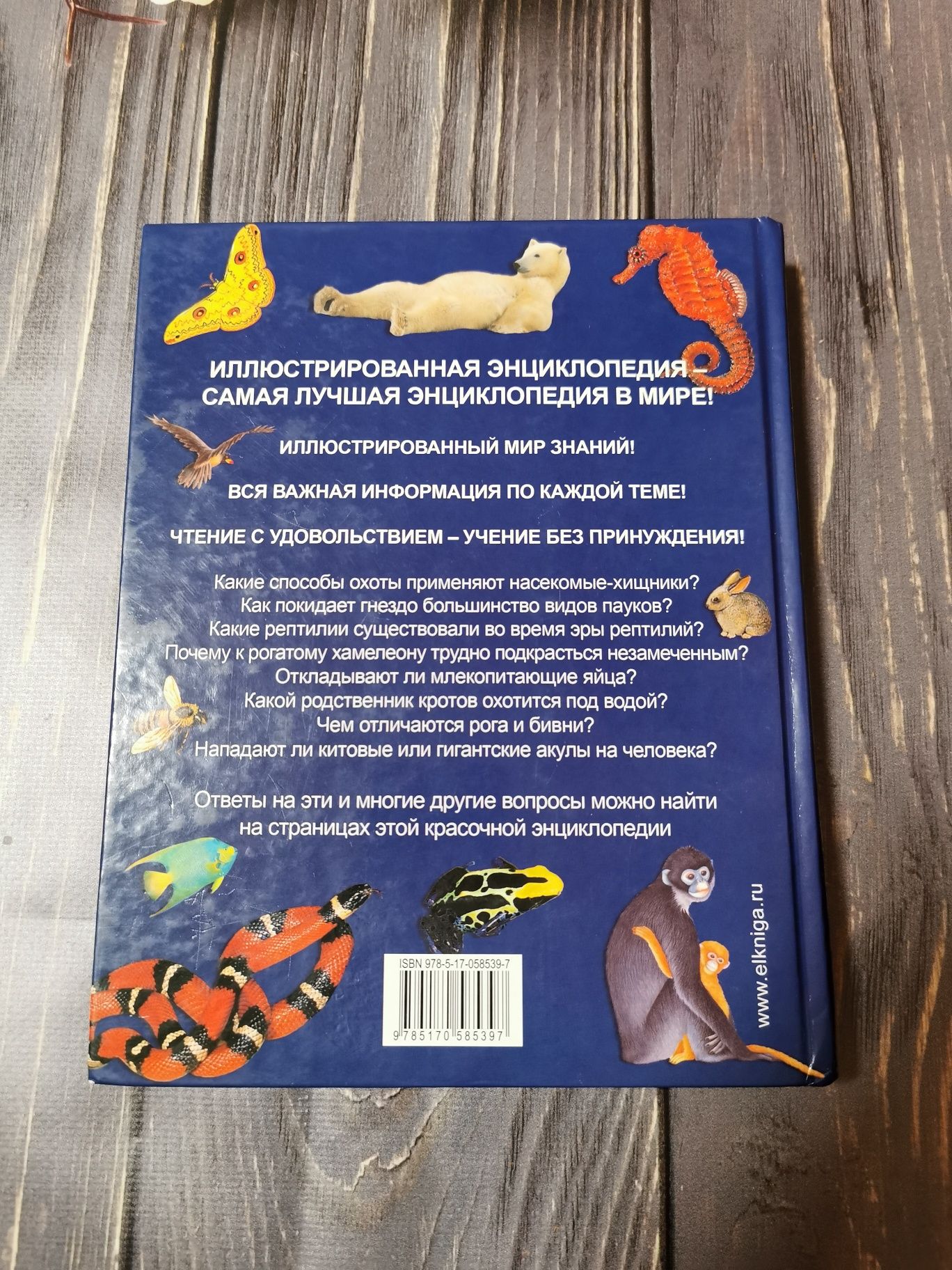 Всё о животных - больших и маленьких. Детская энциклопедия. 2009 год.