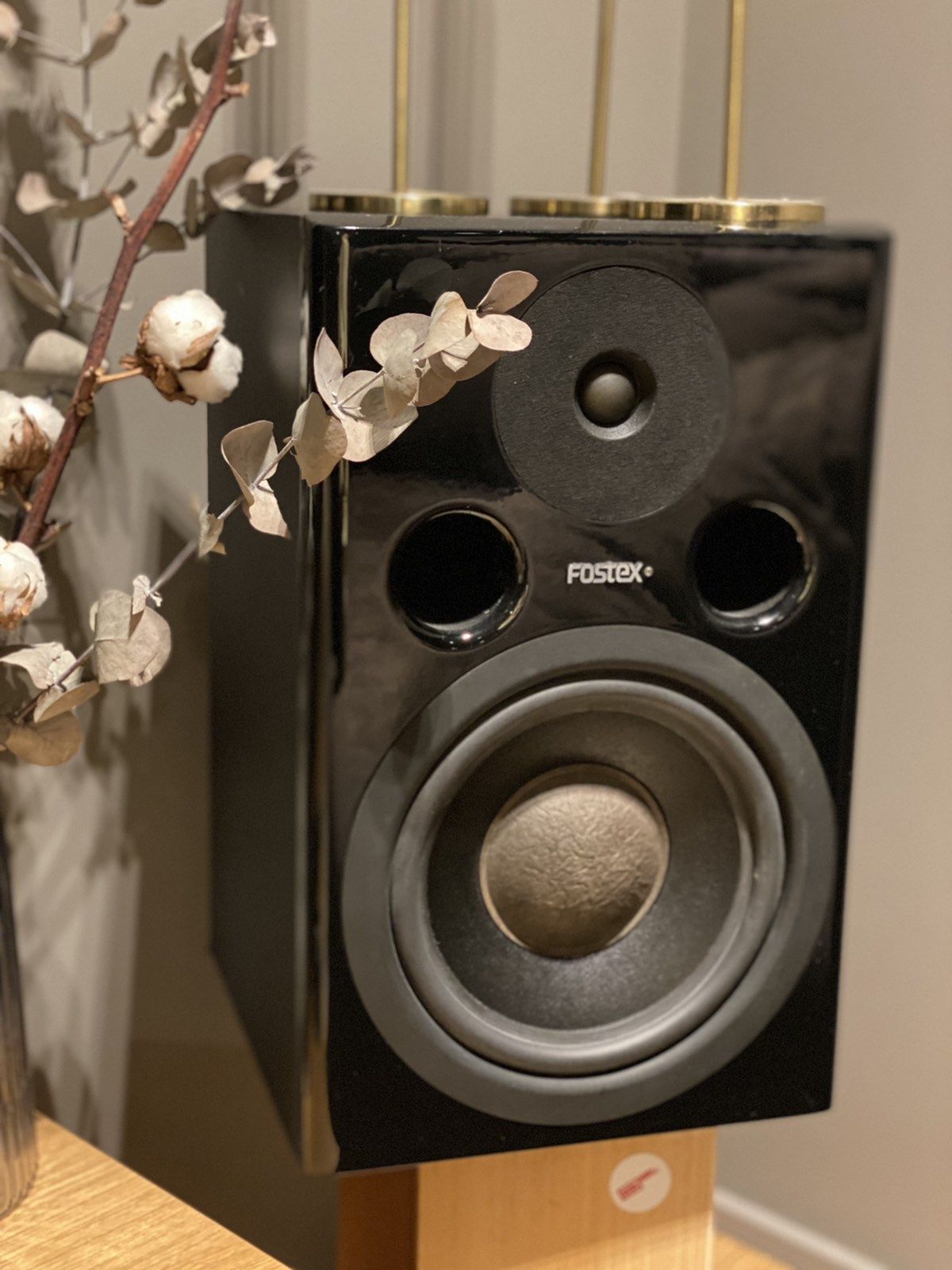 Fostex PM2 Mk2 активні монітори (пара)