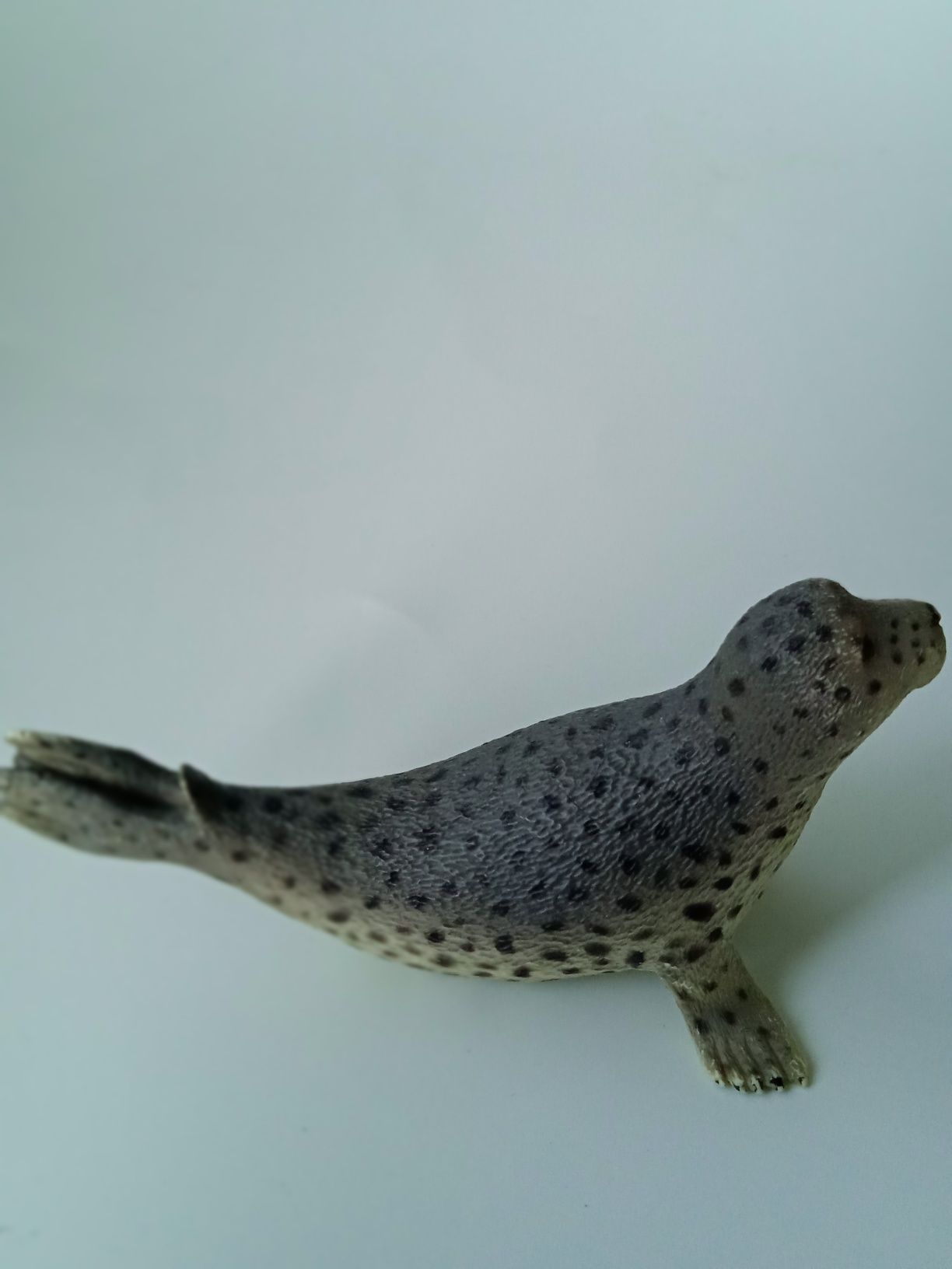 Figurka foki Collecta