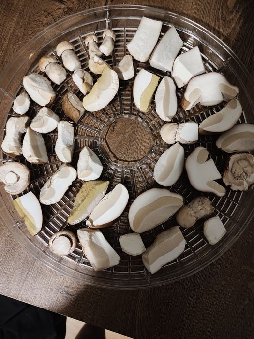 Sprzedam grzyby suszone