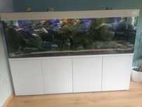 Akwarium Malawi 600l