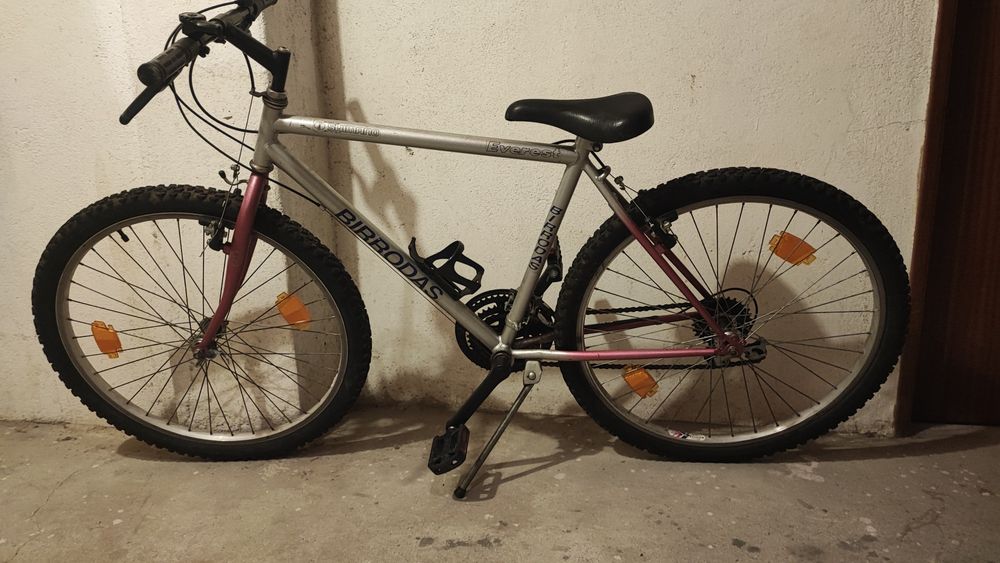 Bicicleta Birrodas