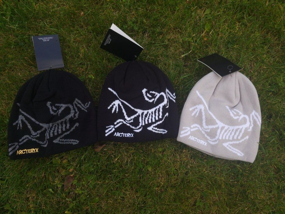 Шапка Arc’teryx / шапка артерікс / Arc'teryx Bird Word Toque / біні