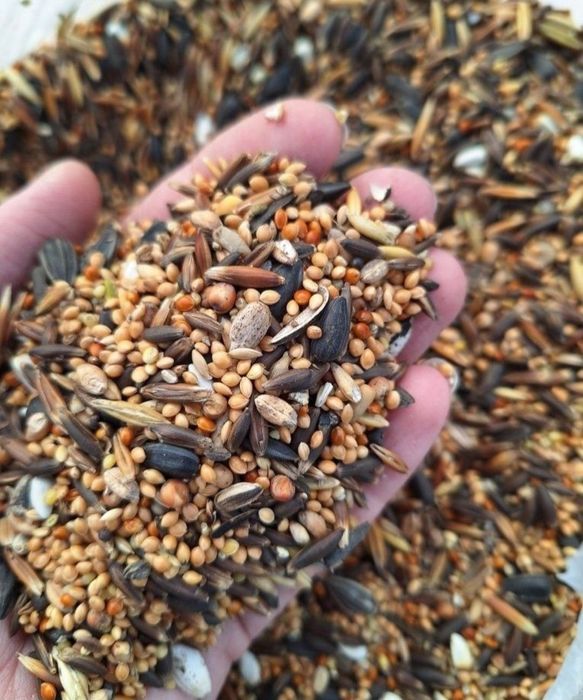 Pokarm dla nimfy, papugi średniej 4 kg