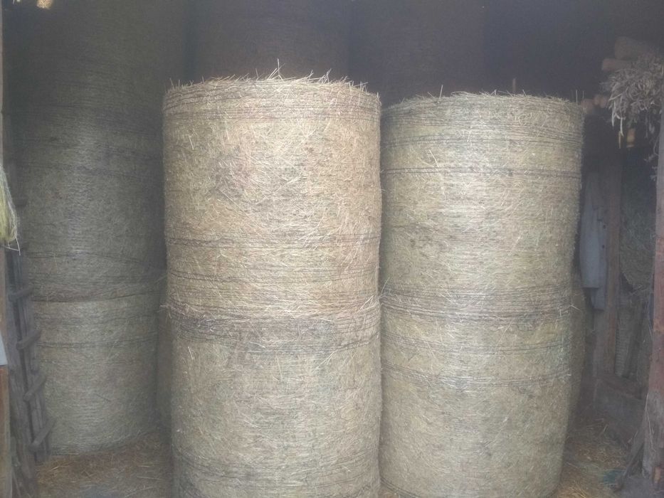 Sprzedam sianokiszonkę, siano, słomę, owies, jęczmień ozimy