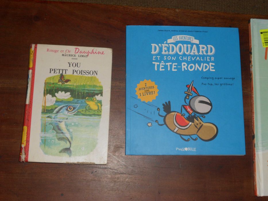 Livros infantis juvenis em lingua francesa BD e outros