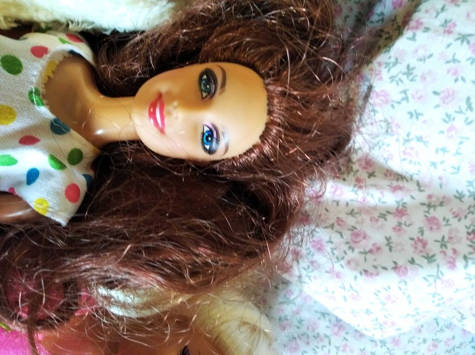 Bonecas e guarda fatos da Barbie