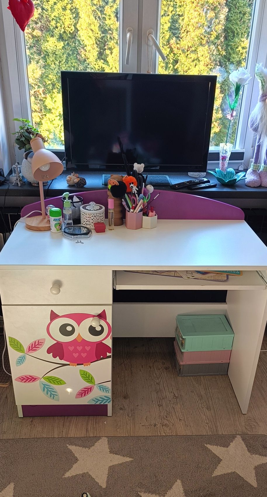 Zestaw mebli dla dziewczynki różowe sowy biurko,szafa, regał
