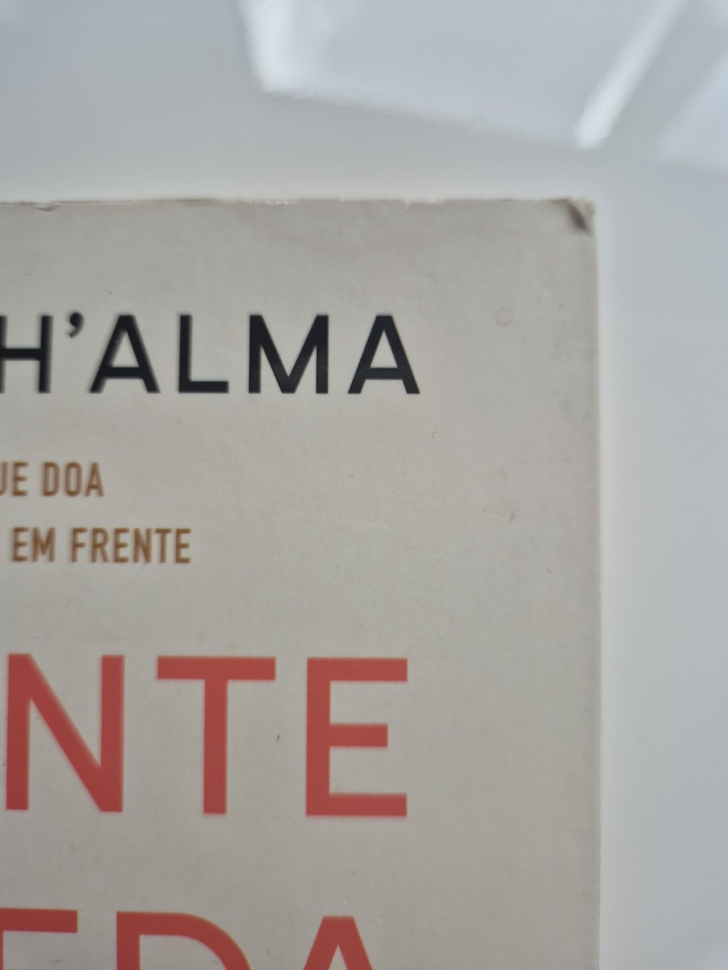 Livro "Durante a queda aprendi a voar" Raul  Minh'alma