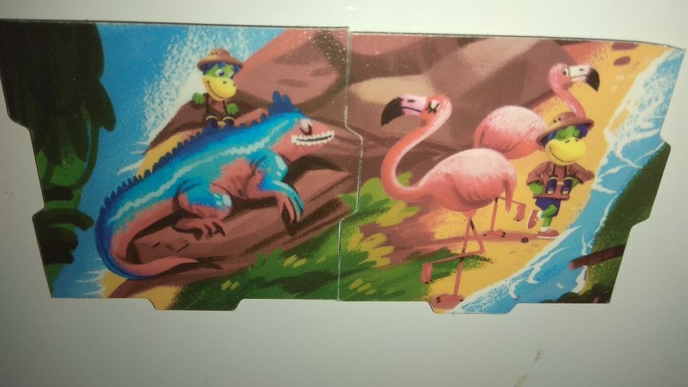 Magnesy Danonki Amazonia