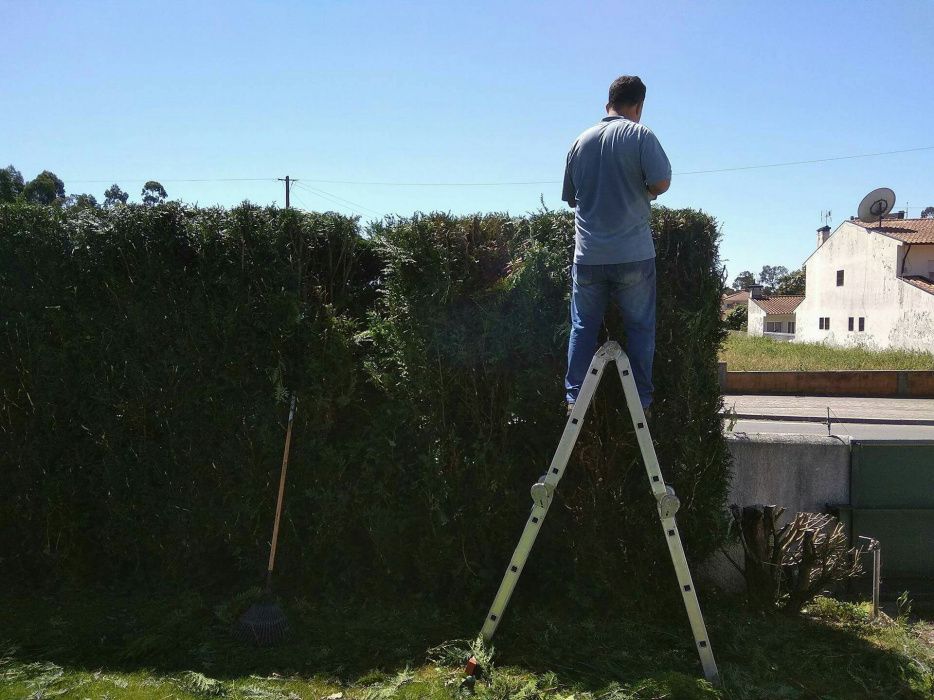 Jardinagem e Agro-florestais