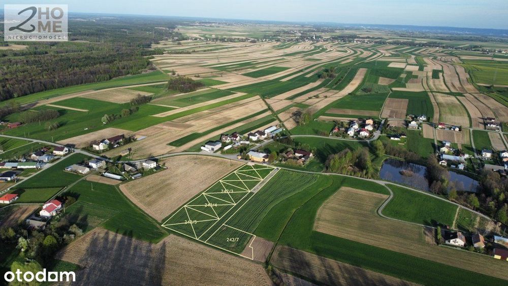 15 ar w Podlesiu k/ Nowej Jastrząbki gm. Czarna