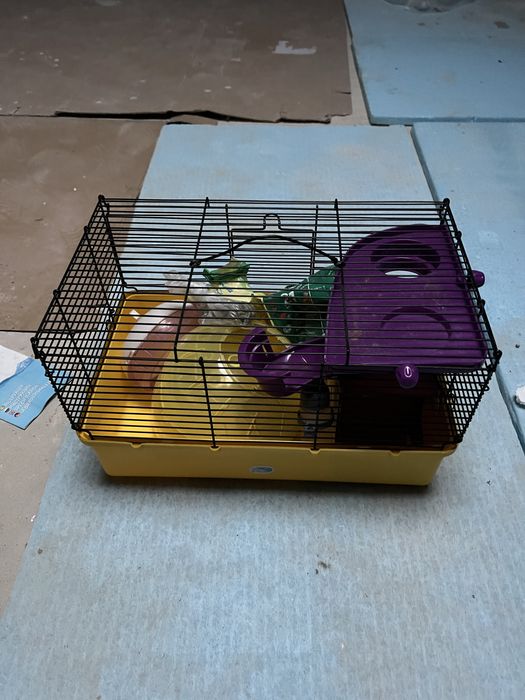 Клітка і кулька для хомʼяка