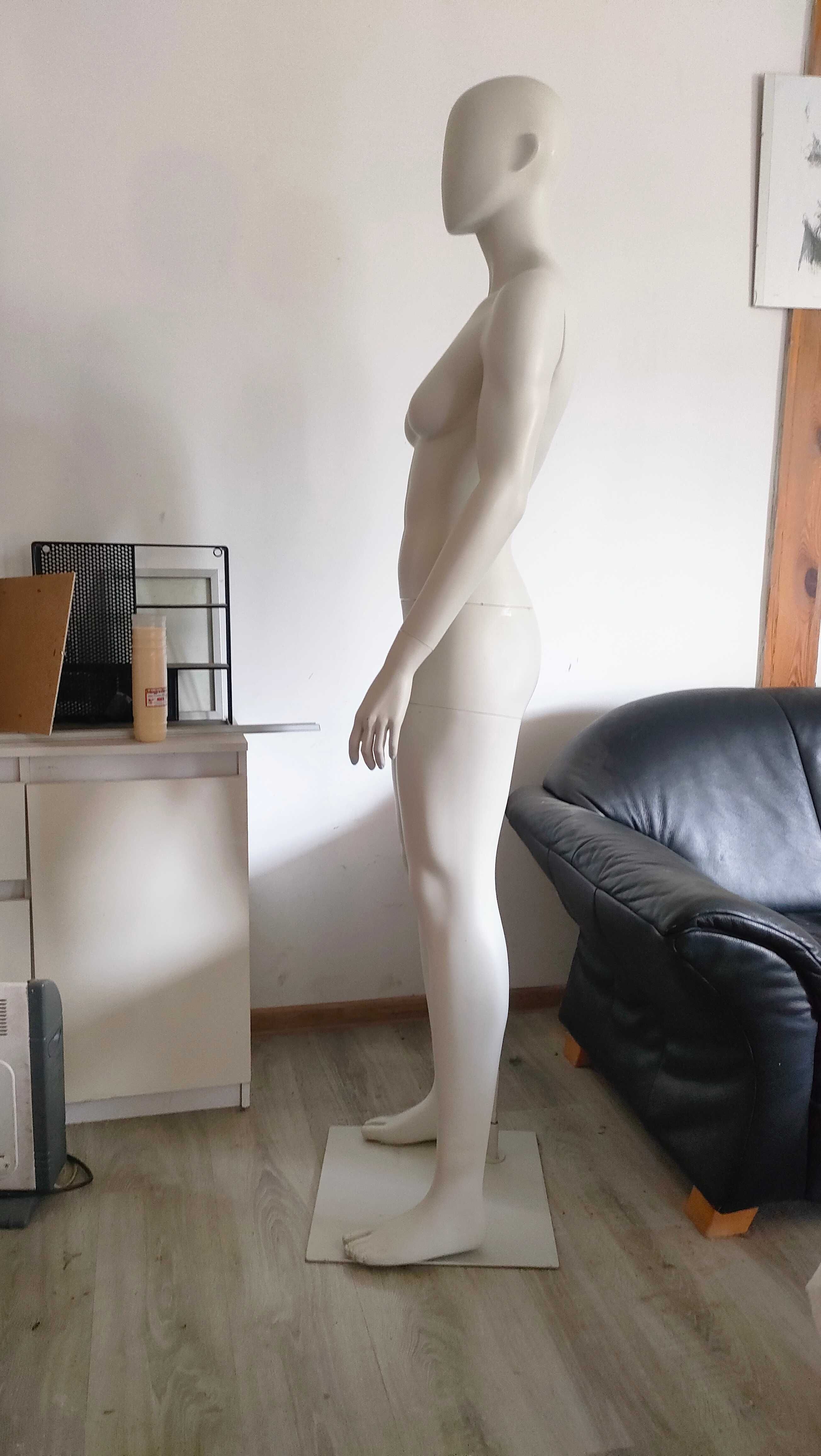 Manekin calopostaciowy kobieta