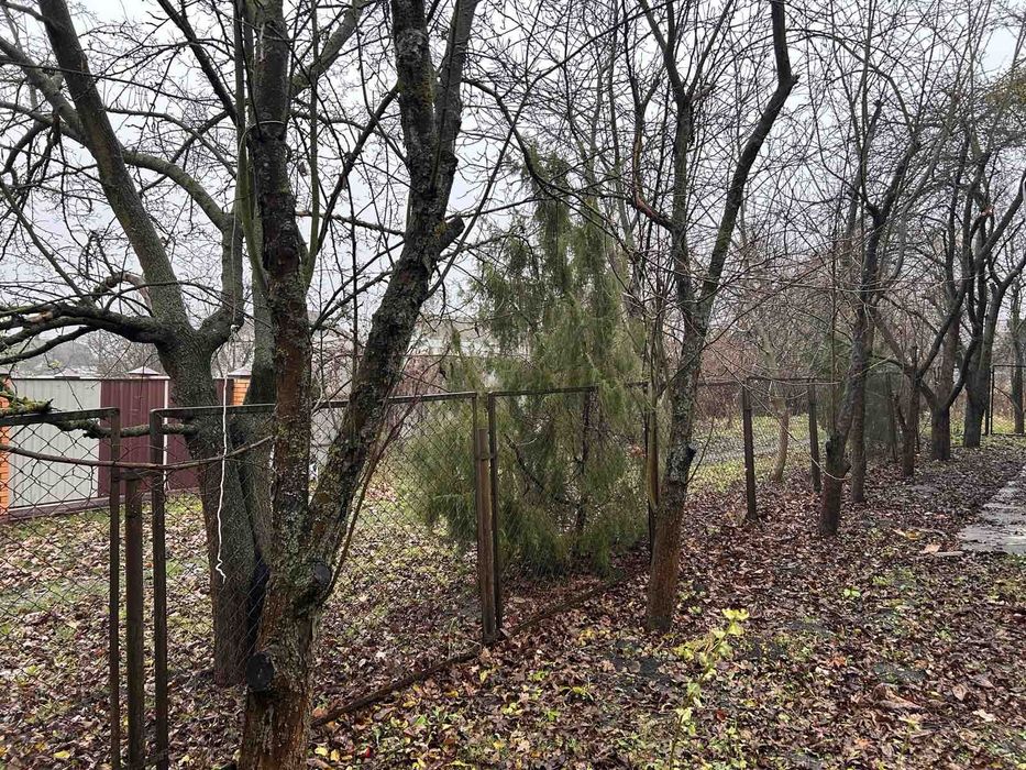 Будинок з ділянкою в с.Забуччя. Бучанський район.