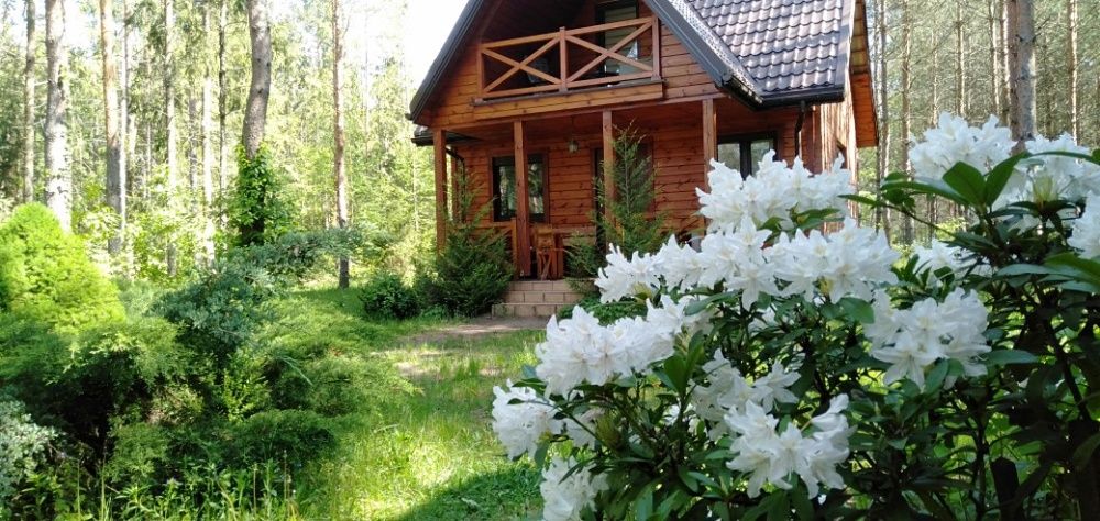 Domek letniskowy nad Siemianówką -Nowa Łuka