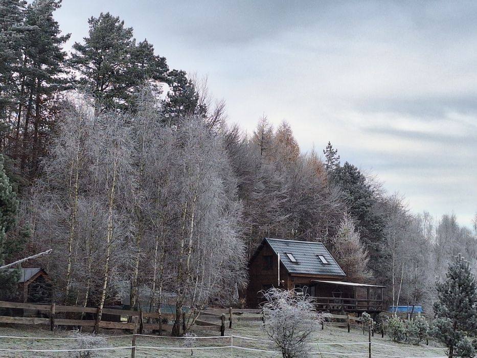 Siedlisko Drzewina - domek na wsi