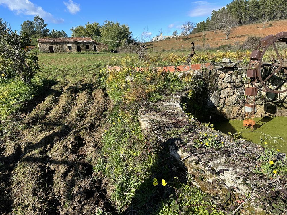 quinta com casa  de pedra