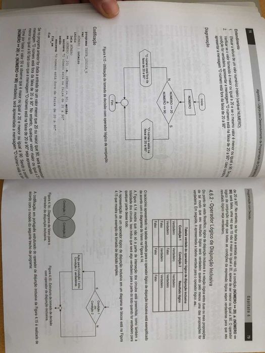 Algoritmos - Lógica Para Desenvolvimento de Programação