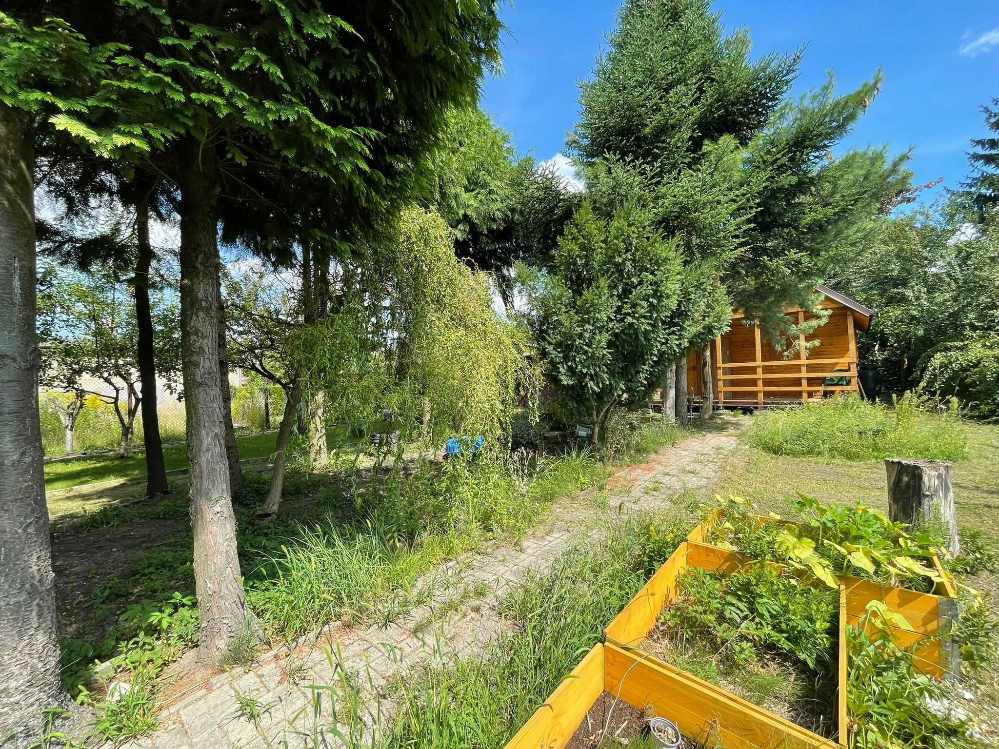 PROMOCJA Działka ROD 344 m2 Stary Widzew Łódź domek całoroczny 25m2
