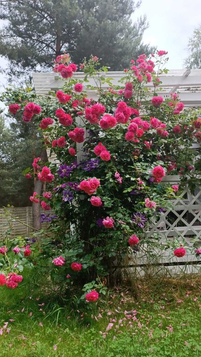 Sprzedam Piękną Działkę