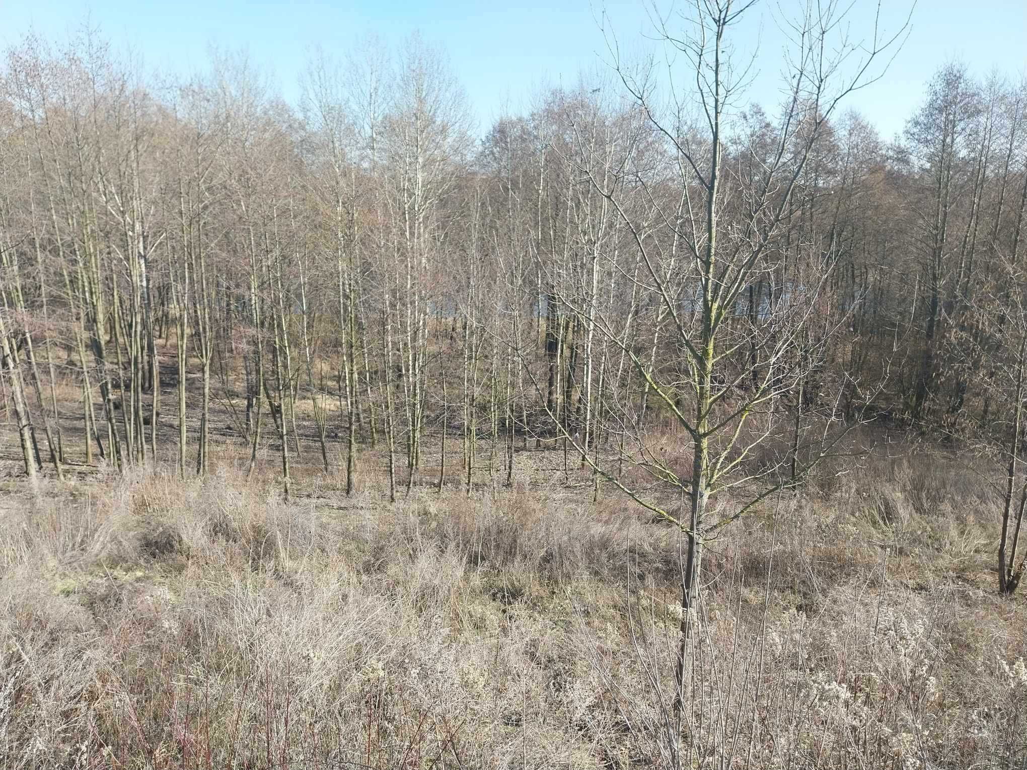 Działka budowlano-rekreacyjna 2900m2 nad jeziorem z linią brzegową