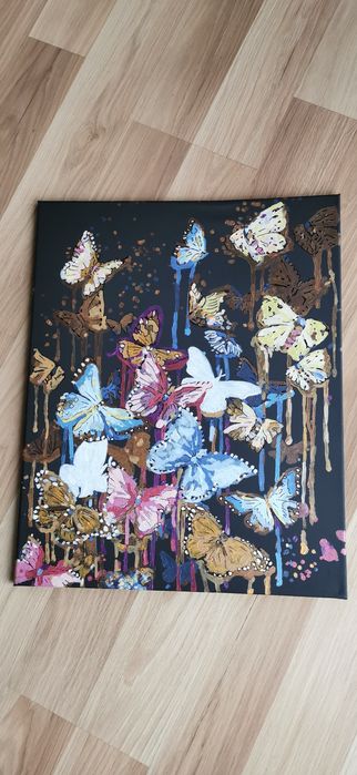 Malowany obraz  motyle  40x50