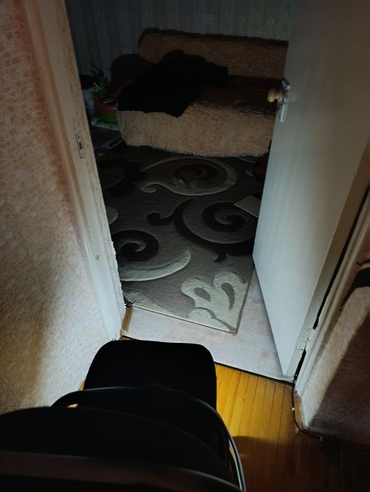 Коляска Carrello Omega 2024 с автолюлькой