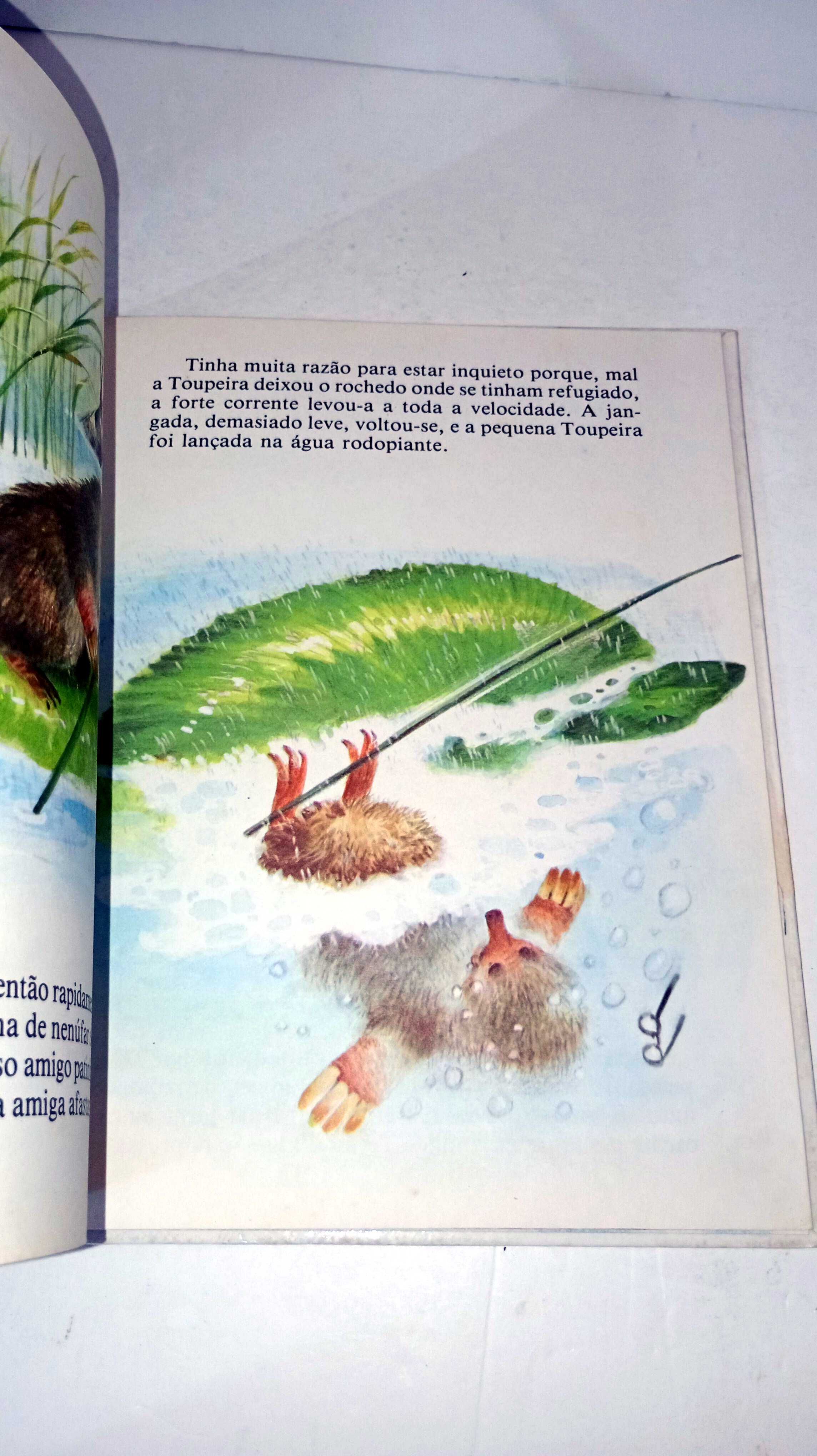 A Pequena Família Pato