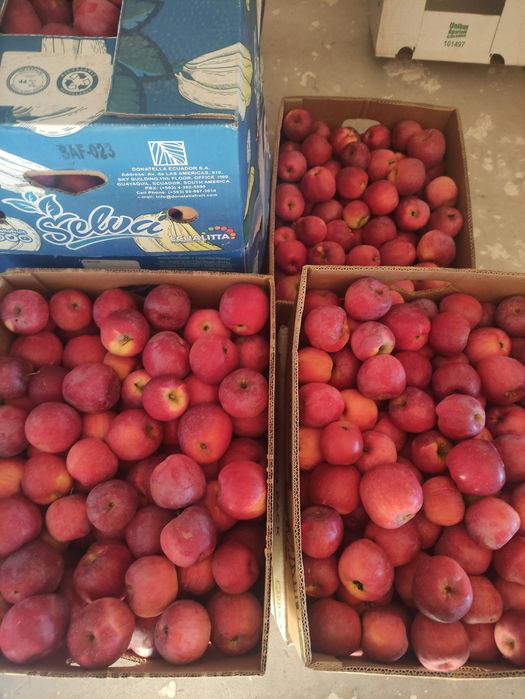 Яблука сорту Флоріна