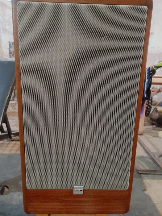 Продам передтопові Canton СТ 1000