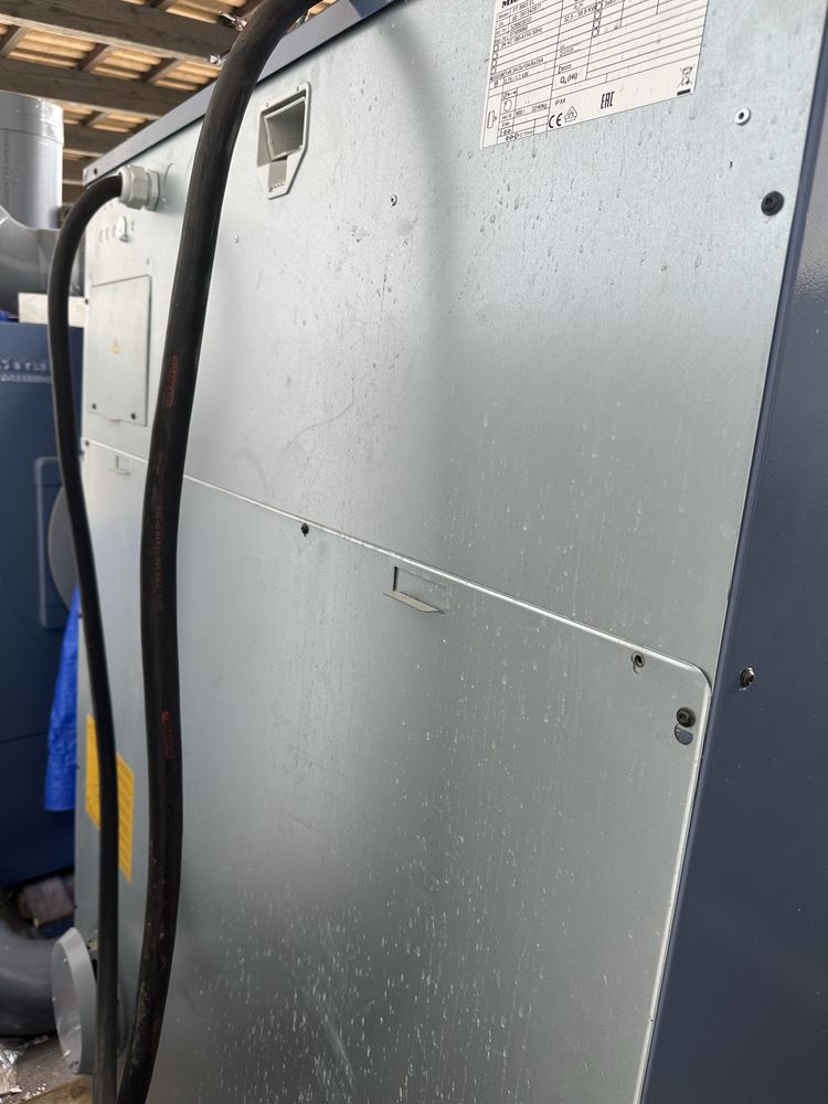 Suszarka przemysłowa Miele PT8803 EL 32/40 kg