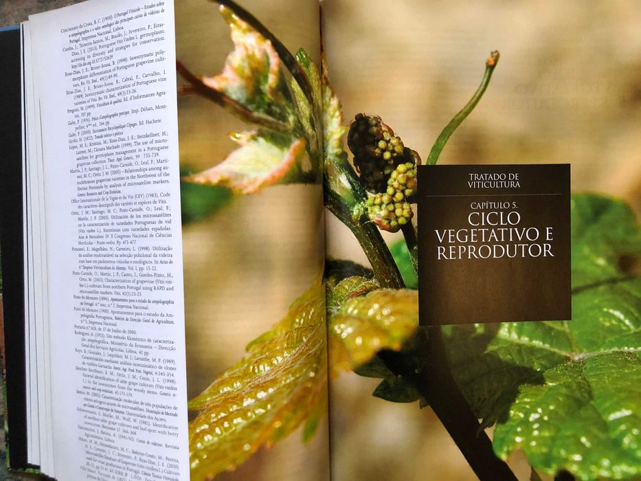 Tratado de Viticultura – A Videira, a Vinha, o Terroir”