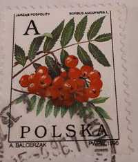 Znaczek pocztowy stemplowany Polska, Jarząb Pospolity, Jarzębina 1995