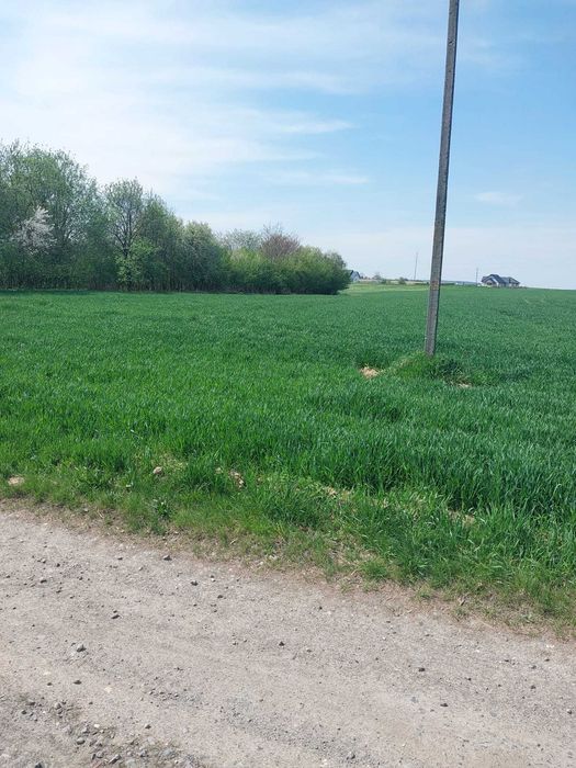 Działka  w spokojnej okolicy o luźnej zabudowie