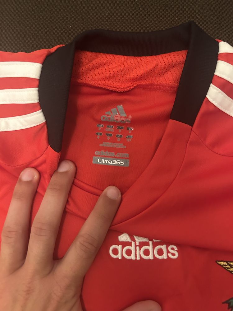 camisola benfica 2008/2009