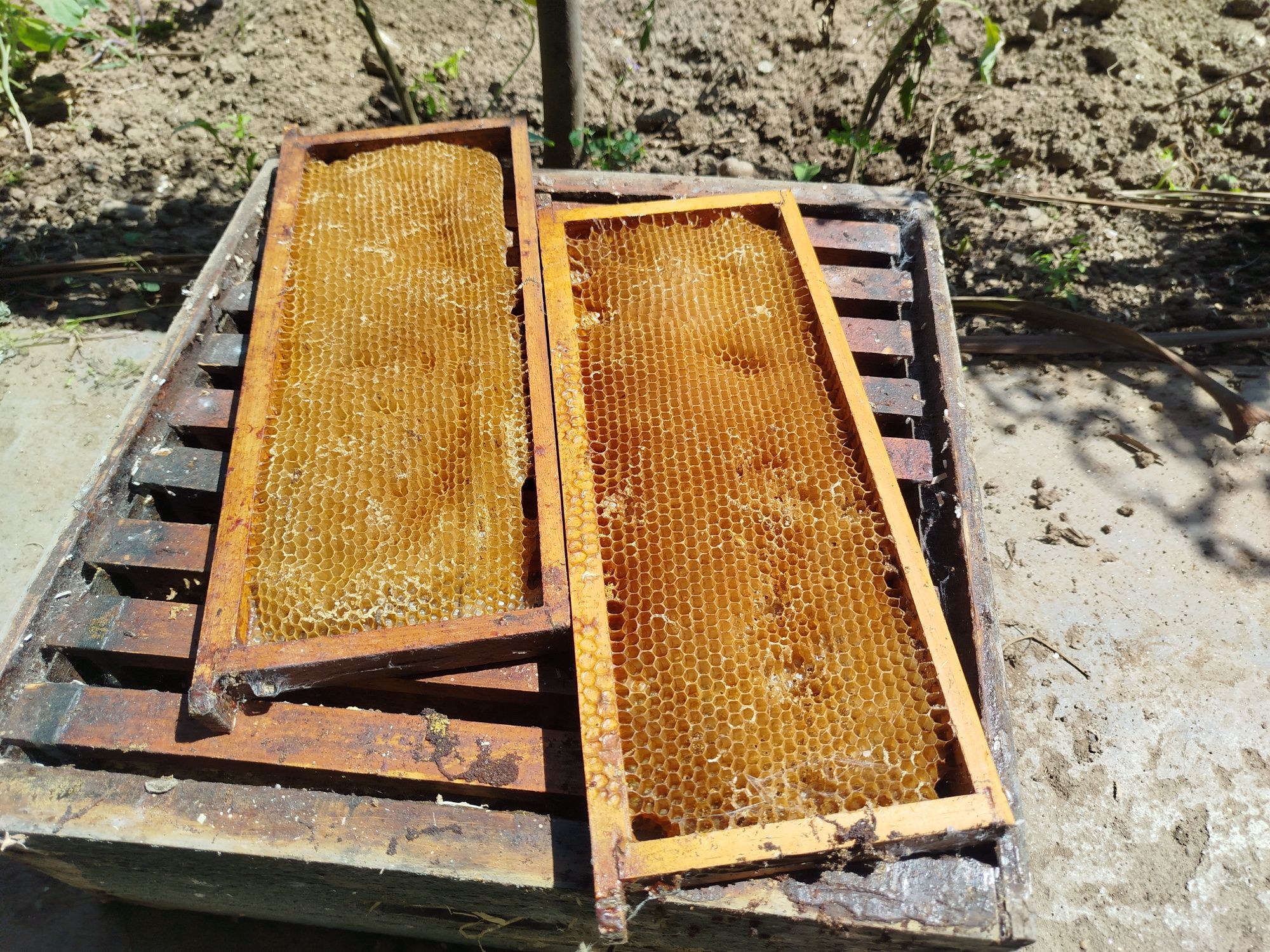 Alças para apicultura com e sem quadros